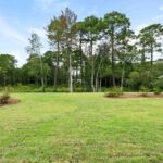 backyard 453 motts forest road