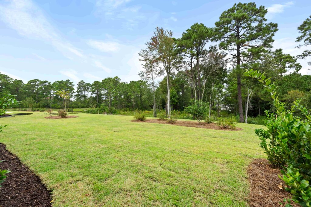 backyard view 2 453 motts forest road